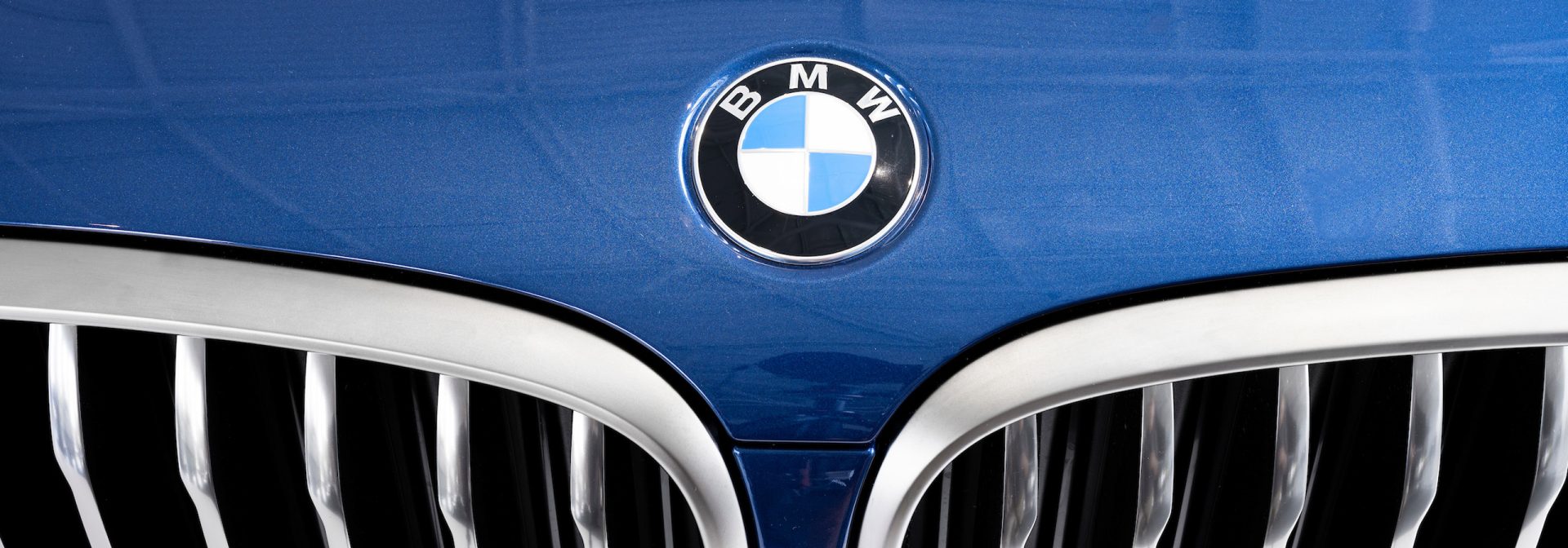 BMW Logo on a blue car
